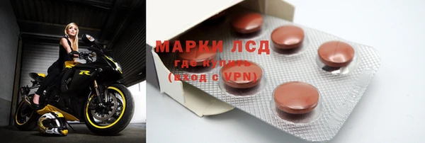 индика Корсаков