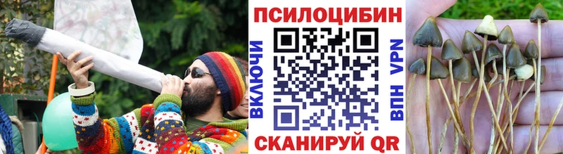 Псилоцибиновые грибы Cubensis  Кирсанов 